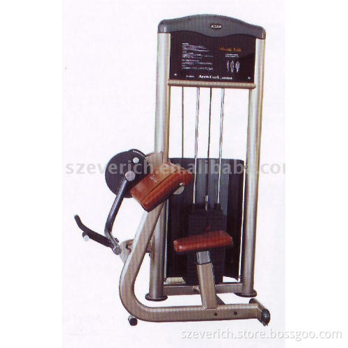 seated bicep curl